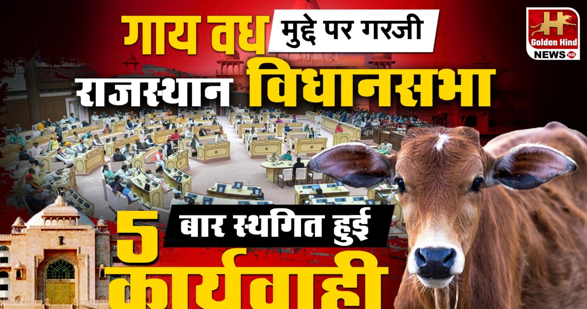 WhatsApp Image 2026-02-18 at 10